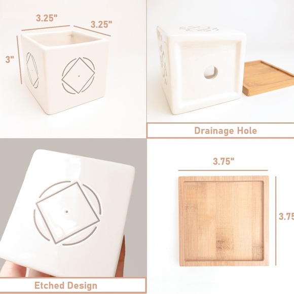 Small ceramic pots for plants, cactus, succulents - very West Elm! - Picture 2 of 4